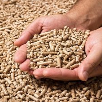 Biomass Pellets