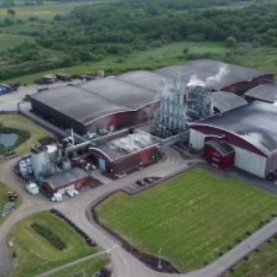 Brewing & Distillation